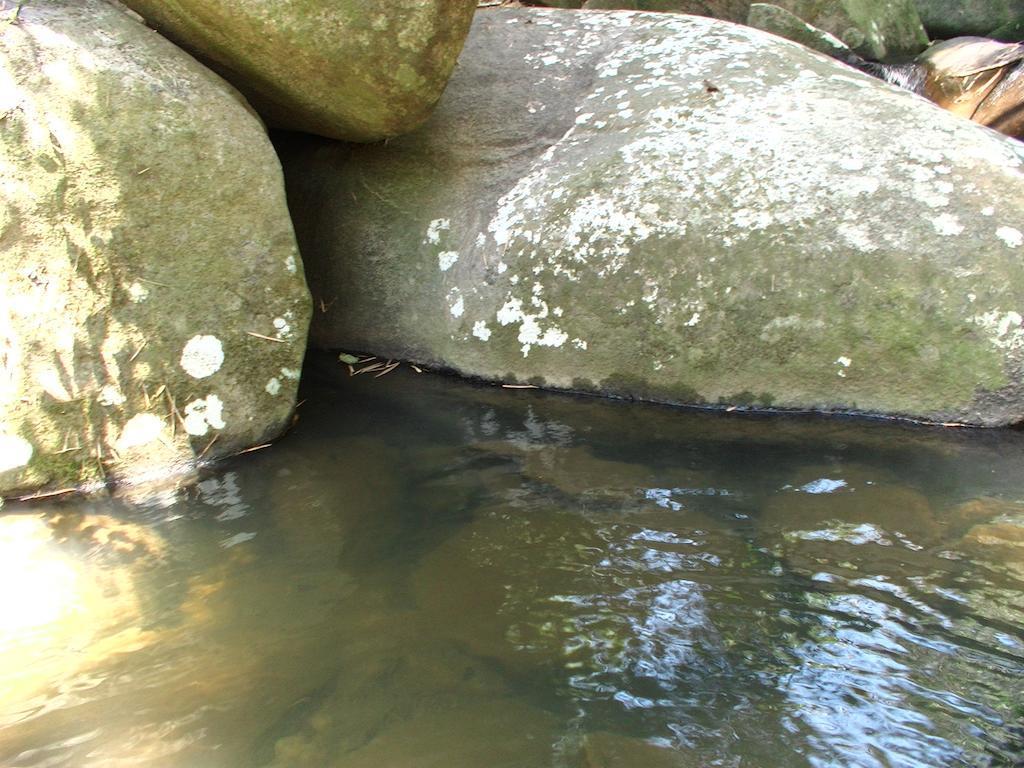 Ytororo O Som Das Aguas Paraty Bagian luar foto